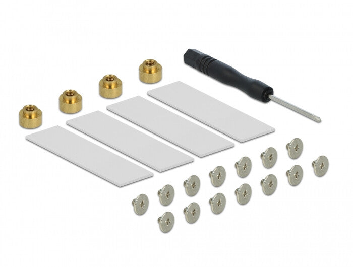 DeLOCK 90079 nätverkskort/adapters Intern M.2