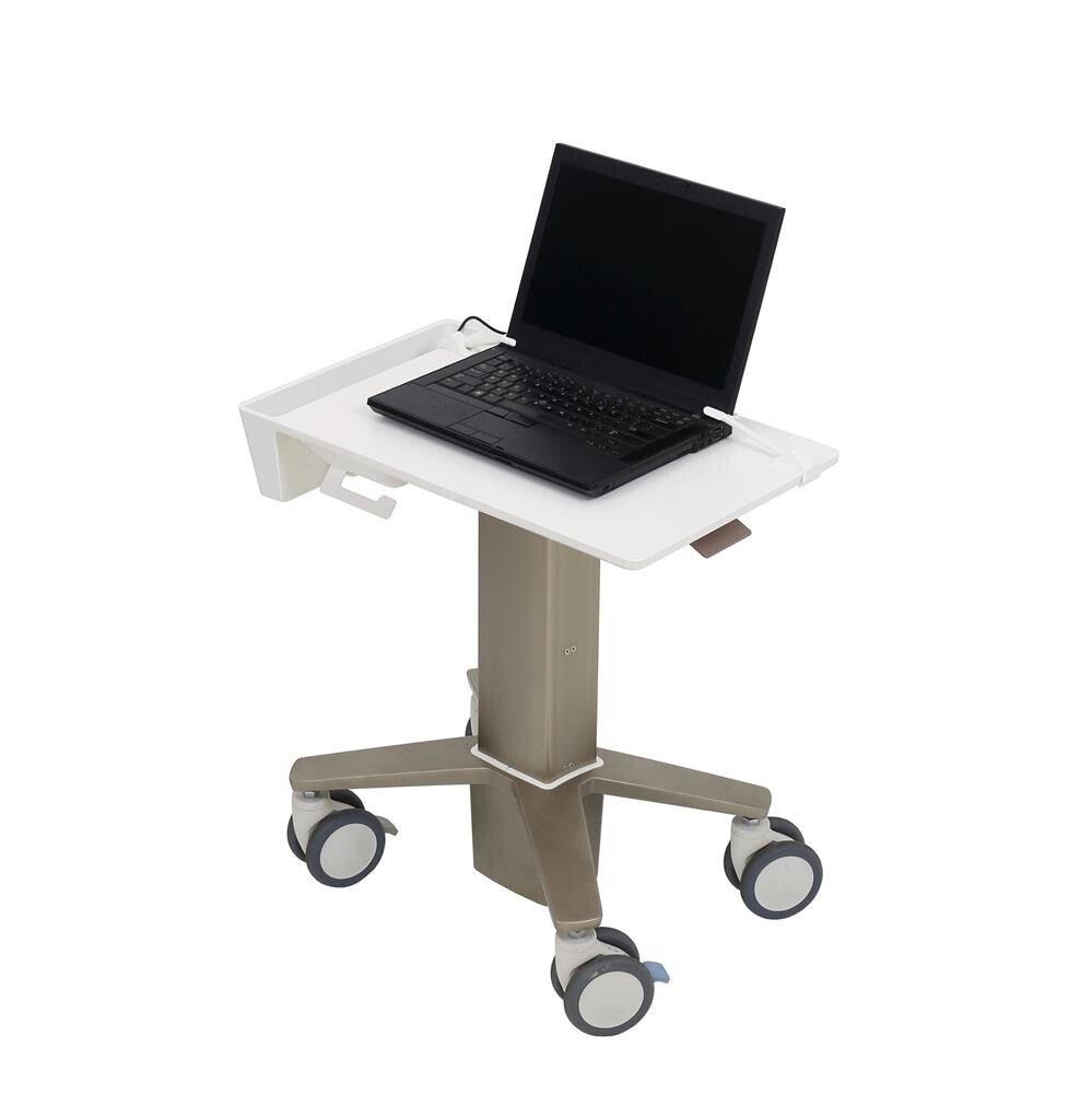 Ergotron C50-1100-0 Ställ för bärbara datorer Ställ till bärbara datorer Grå 39,6 cm (15.6")