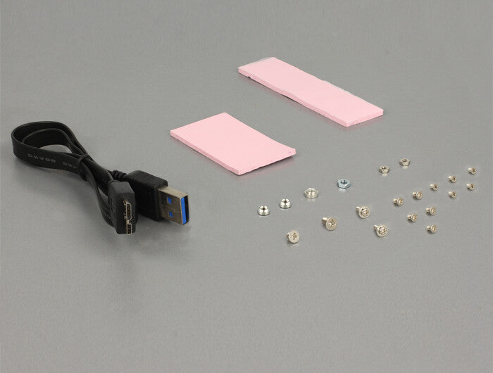 DeLOCK 62731 nätverkskort/adapters Intern USB 3.2 Gen 1 (3.1 Gen 1)