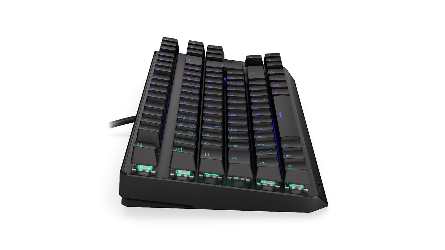 ENDORFY TKL tangentbord Spela USB Nordic Svart
