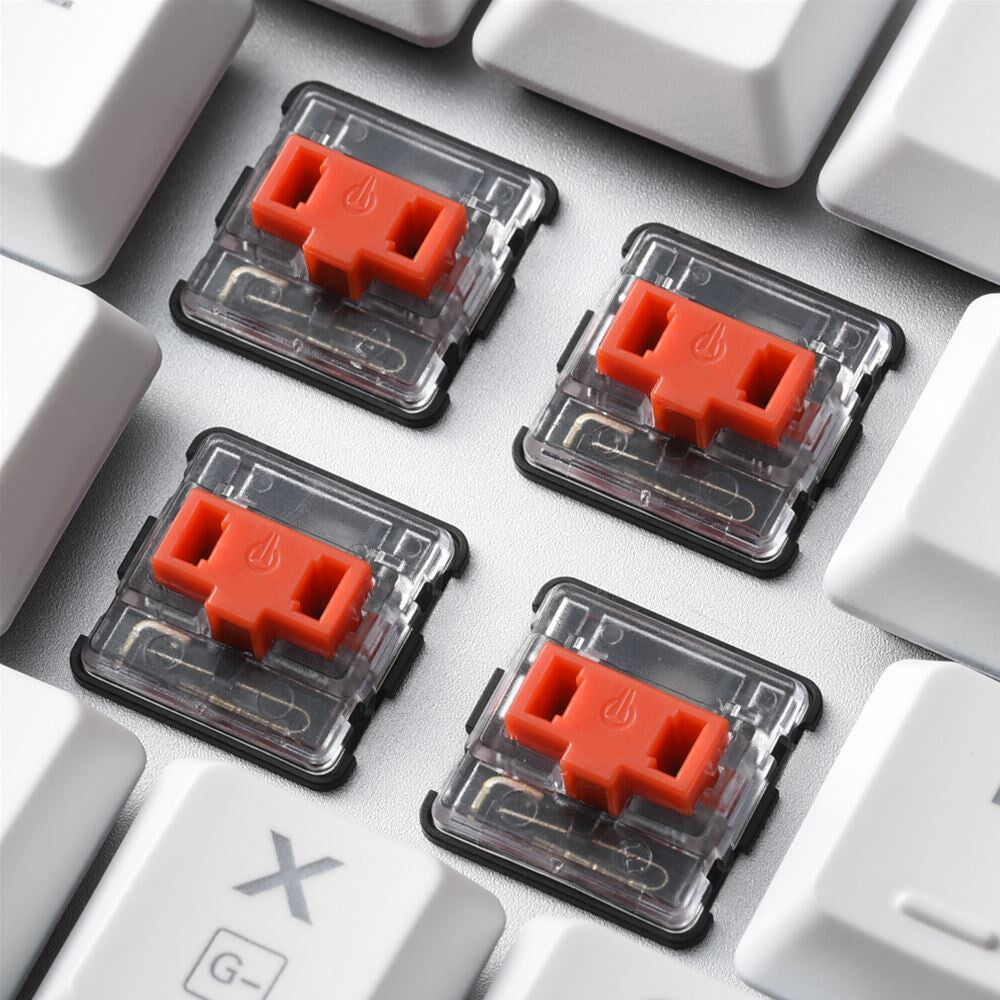 Sharkoon PureWriter TKL RGB Red tangentbord Spela USB QWERTY Engelska (USA) Vit