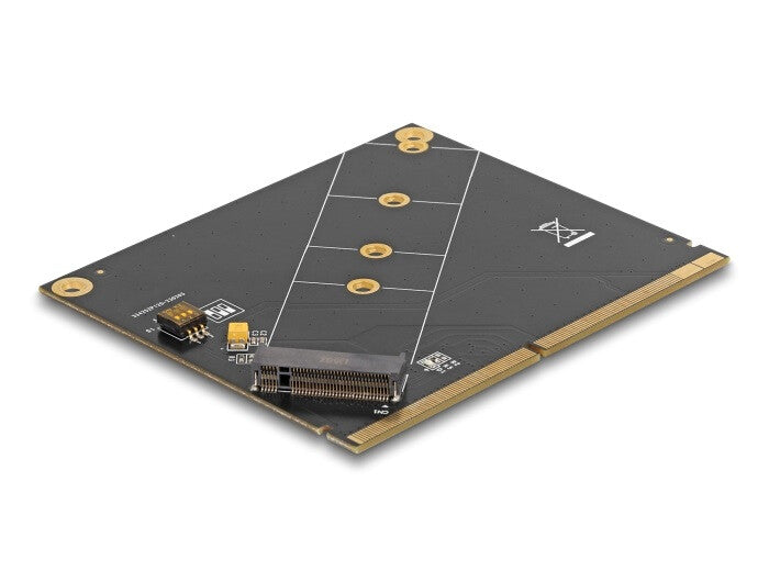 DeLOCK 61057 nätverkskort/adapters Intern M.2