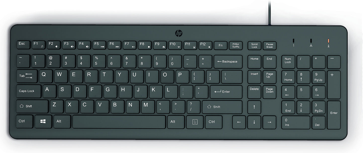 HP 150 trådat tangentbord