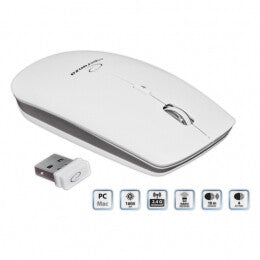 Esperanza EM120W datormöss Kontor RF Trådlös Optisk 2400 DPI