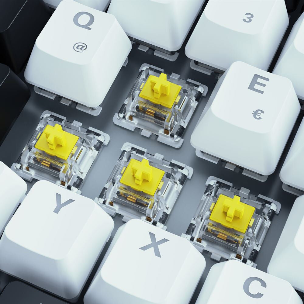 Sharkoon SKILLER SGK50 S3 tangentbord Spela USB AZERTY Fransk Vit