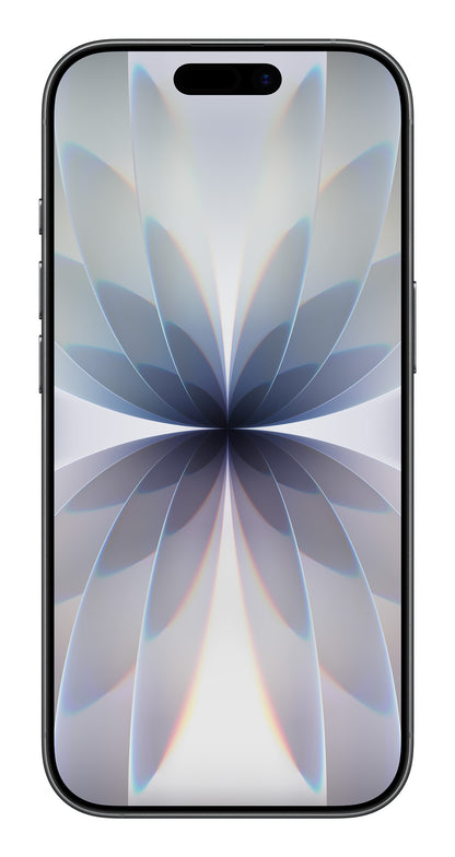 Apple iPhone 17 16 cm (6.3") Dubbla SIM-kort iOS 26 5G USB Type-C 256 GB Svart