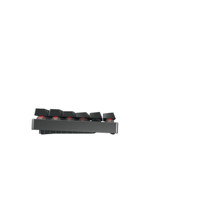 CHERRY MX 8.2 TKL Wireless RGB tangentbord Spela Trådlös RF + Bluetooth QWERTZ tyska Svart