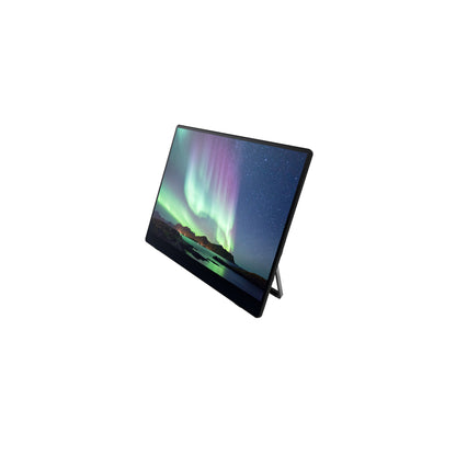 Ricoh 150 Bärbara monitor Svart 39,6 cm (15.6") LED 1920 x 1080 pixlar