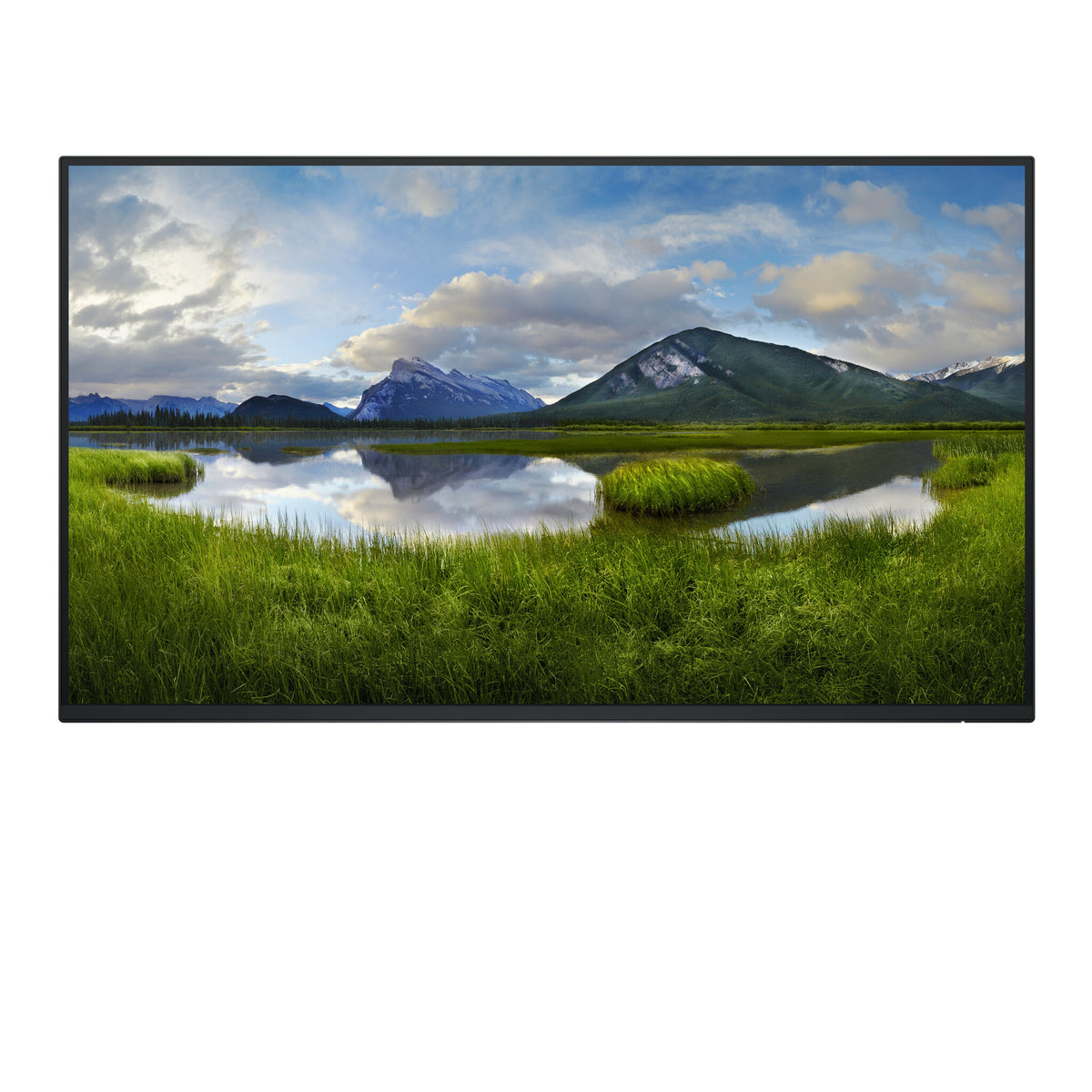 DELL Pro Plus P2725H_WOST platta pc-skärmar 68,6 cm (27") 1920 x 1080 pixlar Full HD LCD Svart