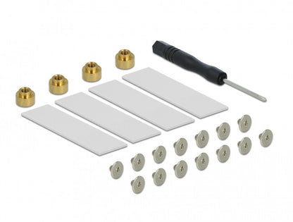 DeLOCK 90079 nätverkskort/adapters Intern M.2