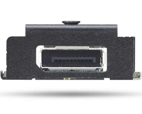 Lenovo 4XH1K25075 nätverkskort/adapters Intern DisplayPort