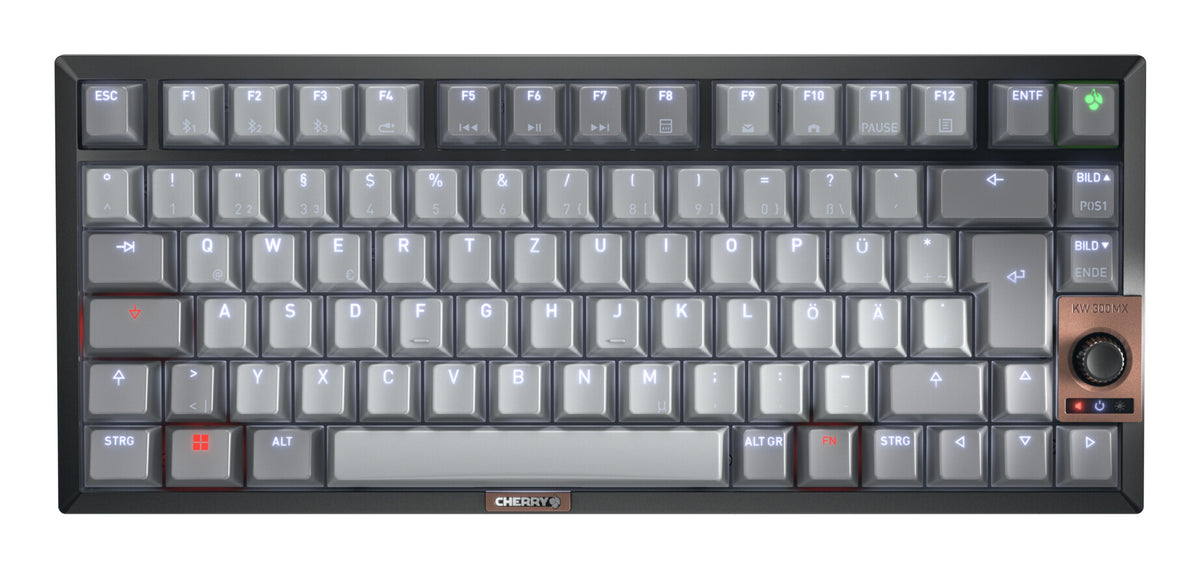 CHERRY KW 300 MX tangentbord Hem USB + Bluetooth QWERTZ tyska Svart, Koppar, Grå
