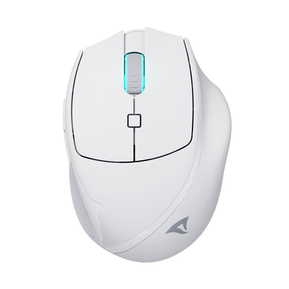 Sharkoon OfficePal M25W datormöss Spela högerhand RF Wireless + USB Type-C Optisk 4000 DPI