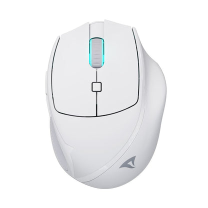 Sharkoon OfficePal M25W datormöss Spela högerhand RF Wireless + USB Type-C Optisk 4000 DPI