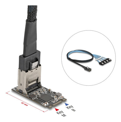DeLOCK 64260 nätverkskort/adapters Intern Mini-SAS