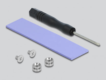 DeLOCK 90047 nätverkskort/adapters Intern M.2