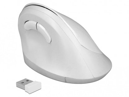 DeLOCK 12596 datormöss Kontor högerhand RF Trådlös 1600 DPI