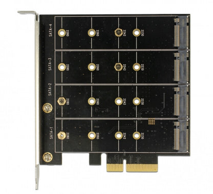 DeLOCK 89888 nätverkskort/adapters Intern SATA