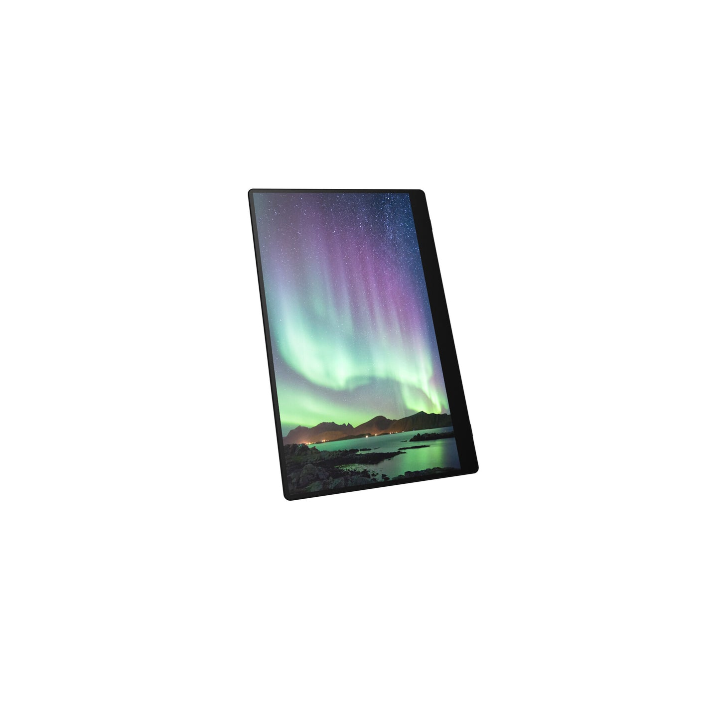Ricoh 150 Bärbara monitor Svart 39,6 cm (15.6") LED 1920 x 1080 pixlar