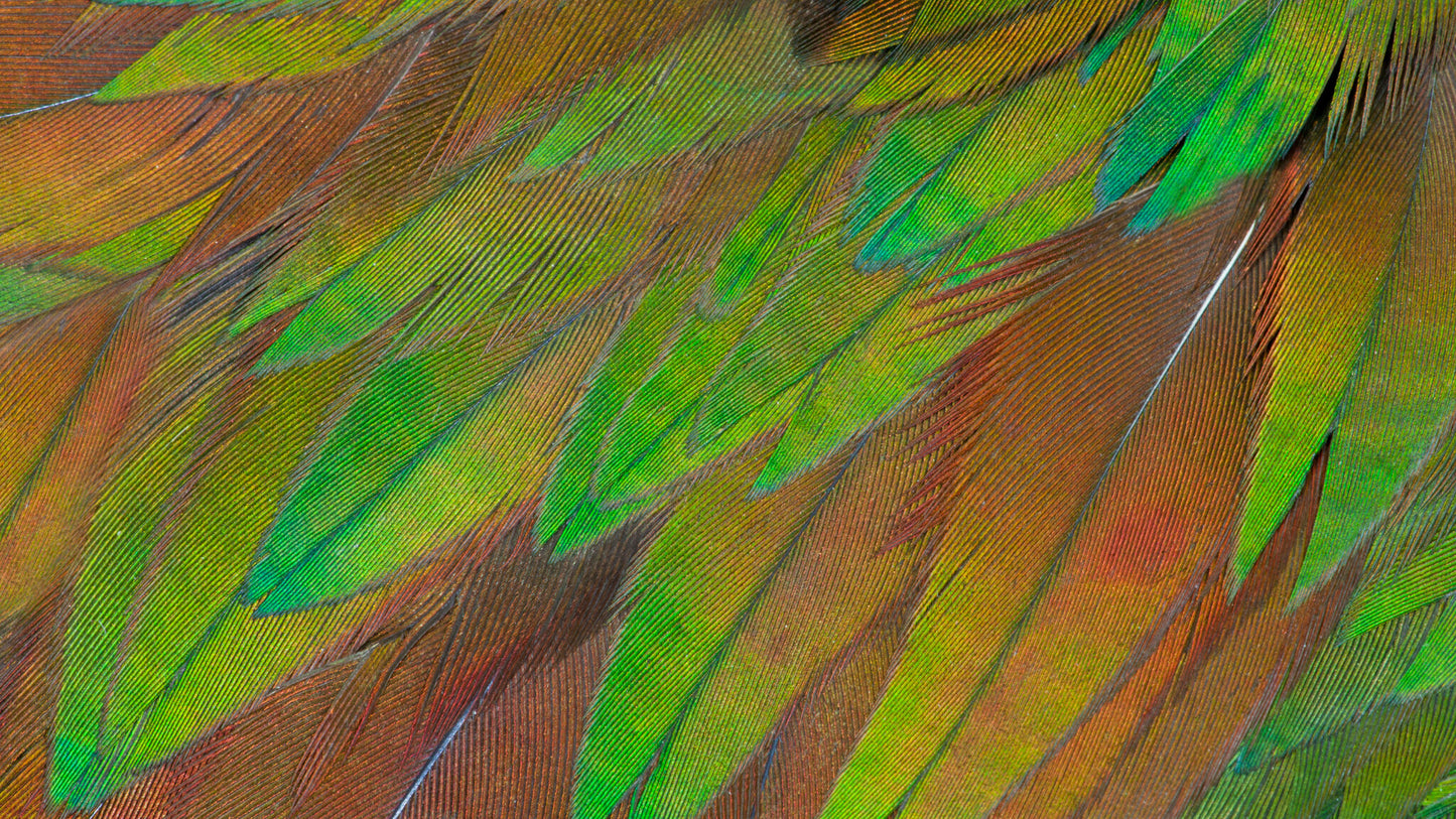 Philips 3000 series 27B1U3900/00 platta pc-skärmar 68,6 cm (27") 3840 x 2160 pixlar 4K Ultra HD LCD Svart