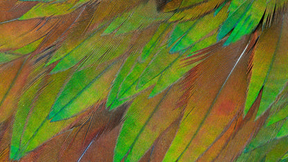 Philips 3000 series 27B1U3900/00 platta pc-skärmar 68,6 cm (27") 3840 x 2160 pixlar 4K Ultra HD LCD Svart