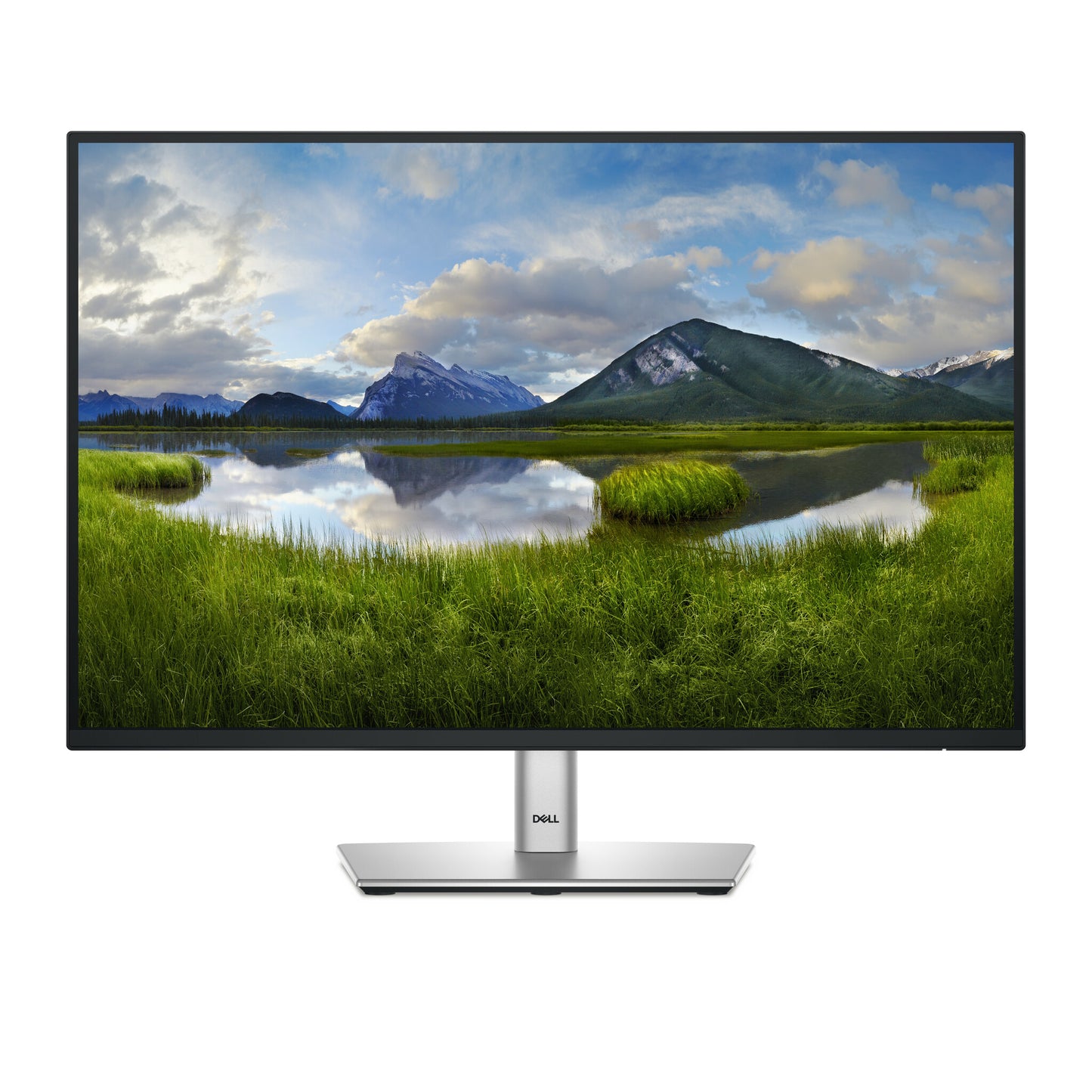 DELL P Series P2425 platta pc-skärmar 61,1 cm (24.1") 1920 x 1200 pixlar WUXGA LCD Svart