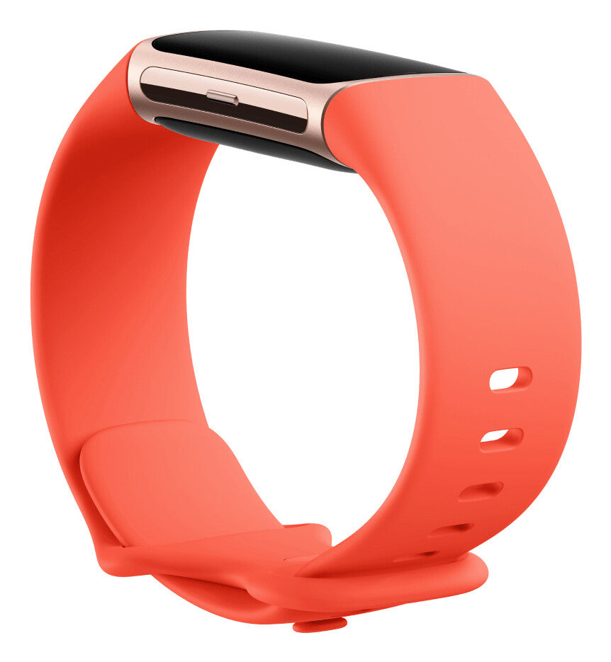 Fitbit Charge 6 AMOLED Armband med aktivitetsspårare Champagne, Guld