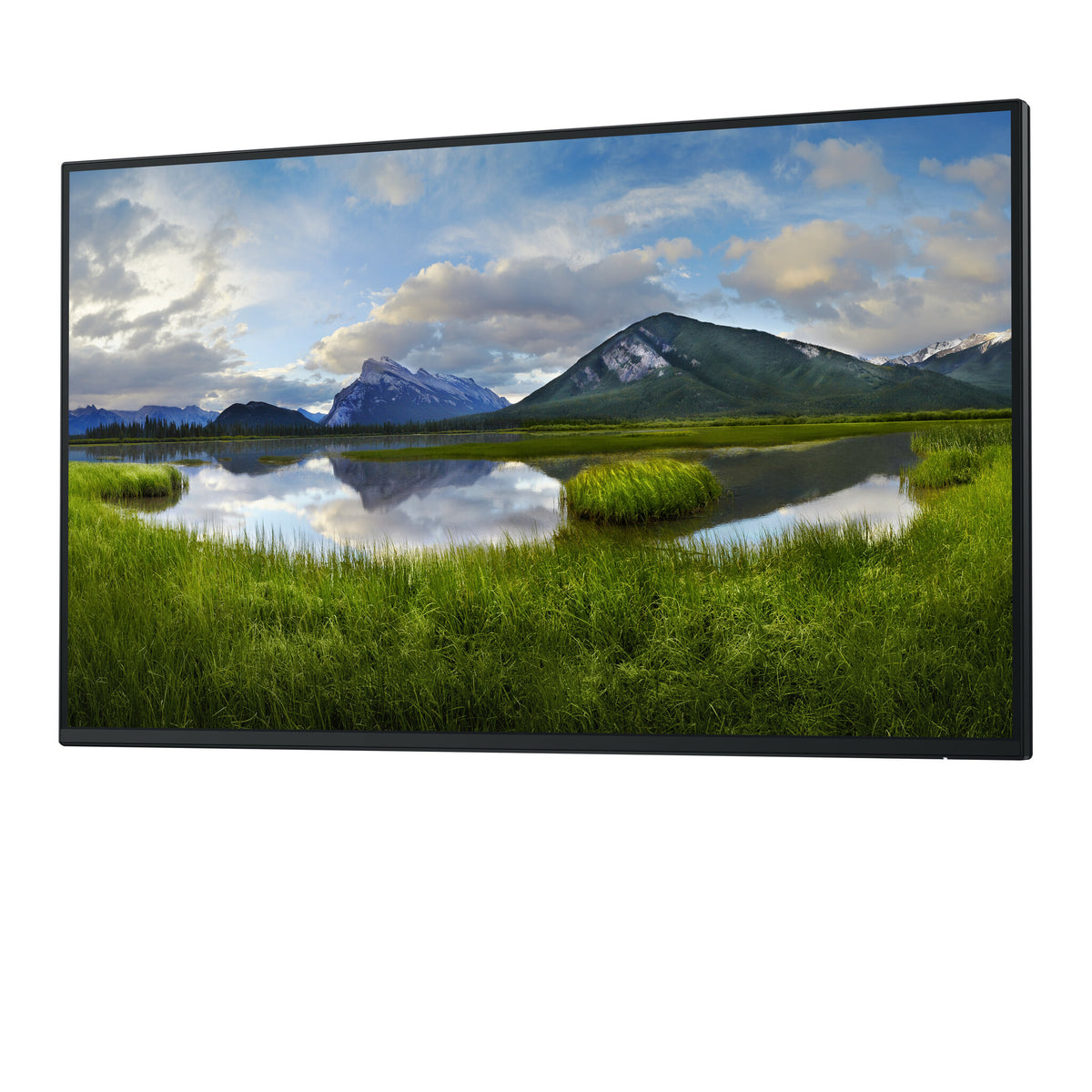DELL Pro Plus P2725H_WOST platta pc-skärmar 68,6 cm (27") 1920 x 1080 pixlar Full HD LCD Svart