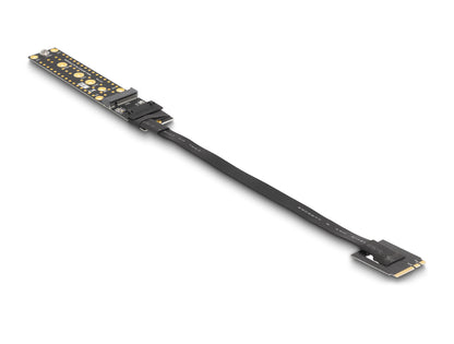 DeLOCK 64215 nätverkskort/adapters Intern M.2