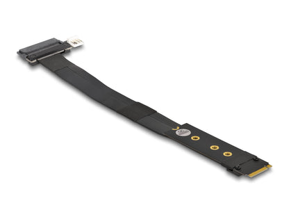 DeLOCK 64216 nätverkskort/adapters Intern M.2, U.2