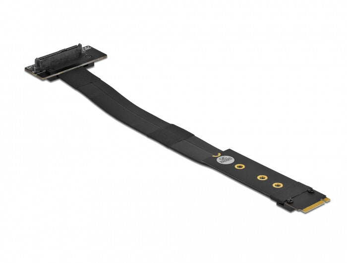 DeLOCK 64135 nätverkskort/adapters Intern U.2