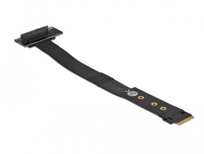 DeLOCK 64135 nätverkskort/adapters Intern U.2