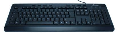 MediaRange MROS102 tangentbord Universal USB QWERTZ Engelsk Svart