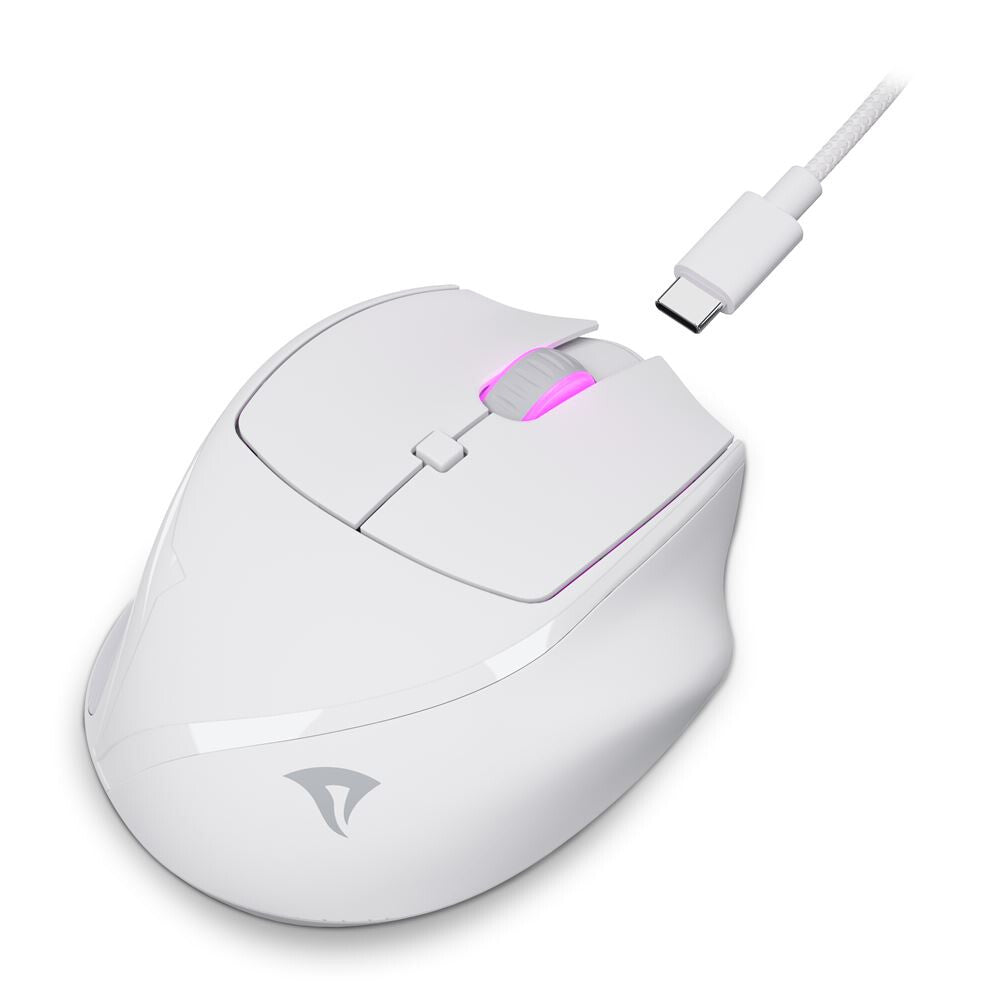 Sharkoon OfficePal M25W datormöss Spela högerhand RF Wireless + USB Type-C Optisk 4000 DPI