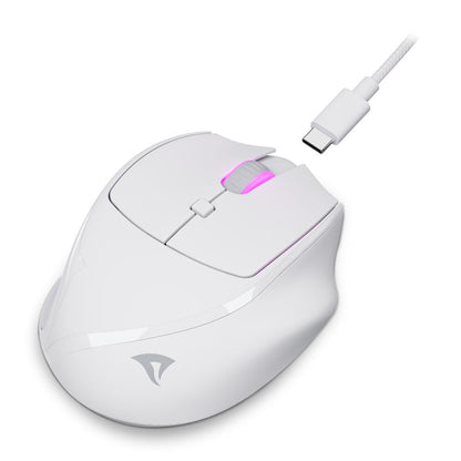 Sharkoon OfficePal M25W datormöss Spela högerhand RF Wireless + USB Type-C Optisk 4000 DPI