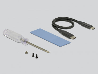 DeLOCK 42600 nätverkskort/adapters USB 3.2 Gen 1 (3.1 Gen 1)