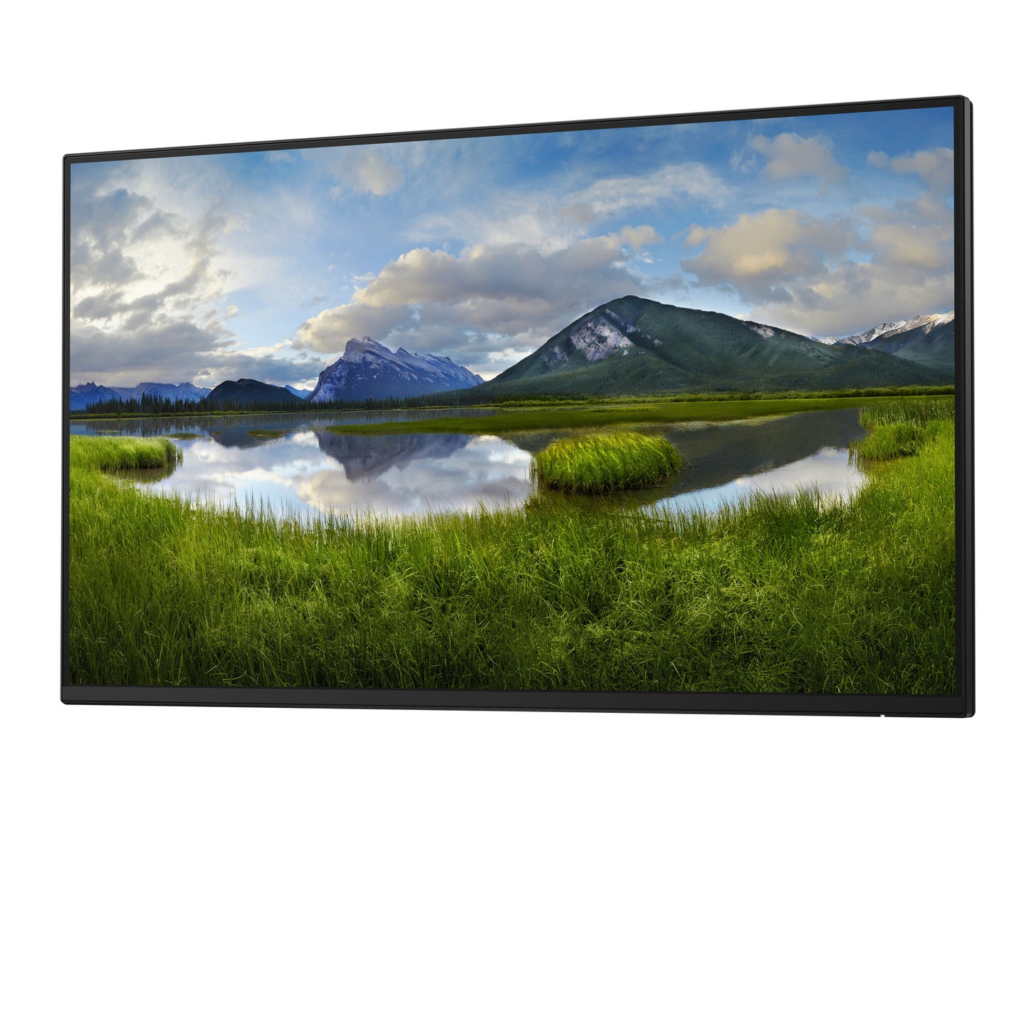 DELL P Series P2425HE_WOST platta pc-skärmar 61 cm (24") 1920 x 1080 pixlar Full HD LCD Svart