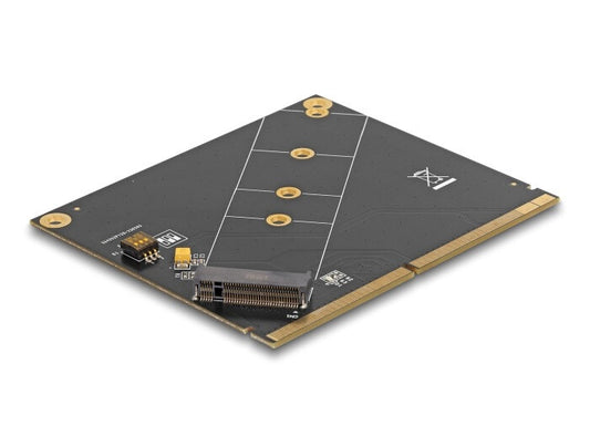 DeLOCK 61057 nätverkskort/adapters Intern M.2