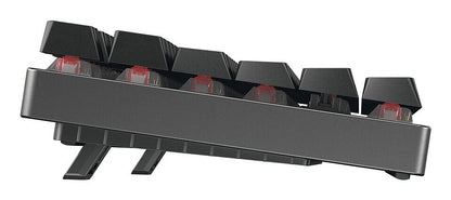 CHERRY MX 8.2 TKL Wireless RGB tangentbord Spela USB + RF Wireless + Bluetooth QWERTZ tyska Svart
