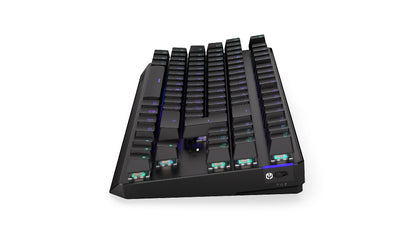 ENDORFY TKL tangentbord Spela USB Nordic Svart