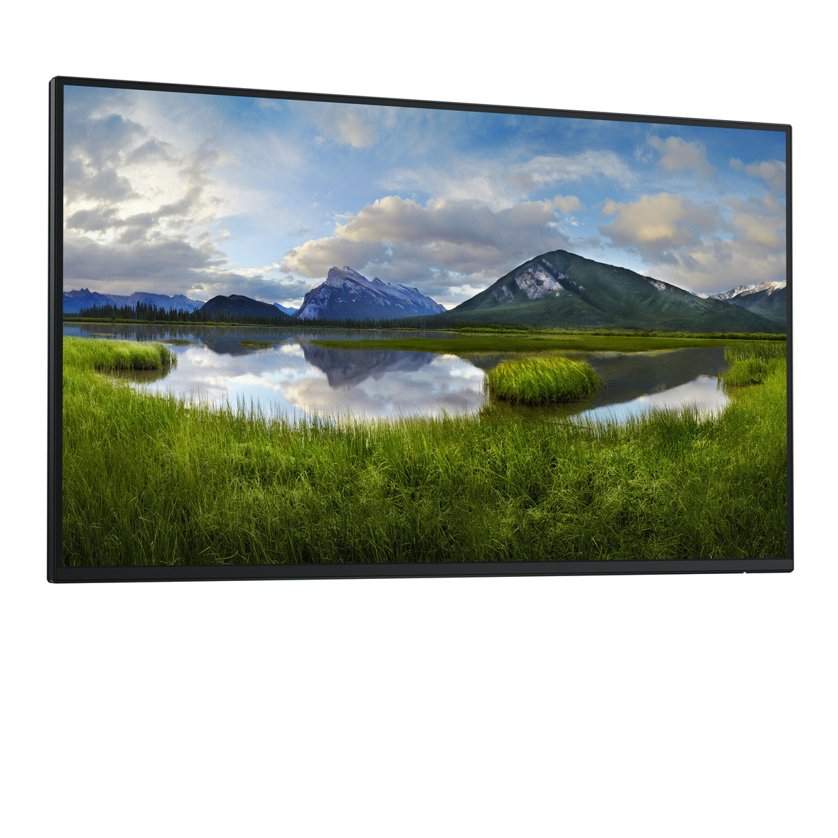 DELL Pro Plus P2725H_WOST platta pc-skärmar 68,6 cm (27") 1920 x 1080 pixlar Full HD LCD Svart