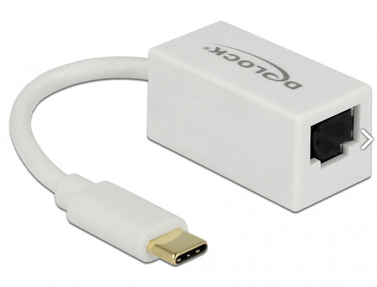 DeLOCK 65906 dockningsstationer för bärbara datorer USB Type-C Vit