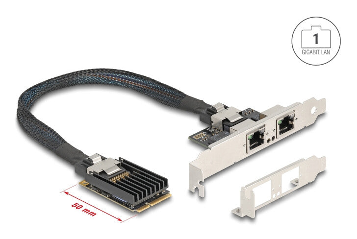 DeLOCK 95280 nätverkskort/adapters Intern RJ-45