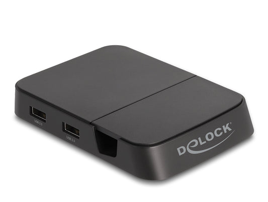 DeLOCK 88018 mobildockningsstationer Smartphone Svart