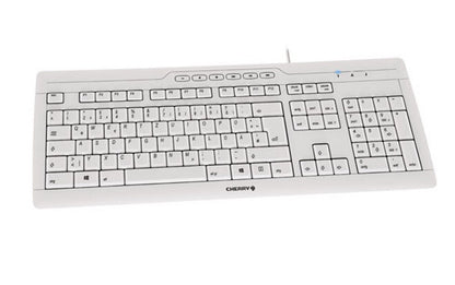 CHERRY STREAM 3.0 tangentbord Kontor USB schweizisk Grå