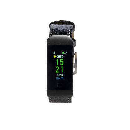 Denver BFH-250 Black Armband med aktivitetsspårare 2,44 cm (0.96") IP68 Svart