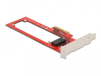 DeLOCK 90055 nätverkskort/adapters Intern E1.S