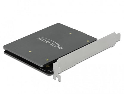 DeLOCK 90432 nätverkskort/adapters Intern M.2