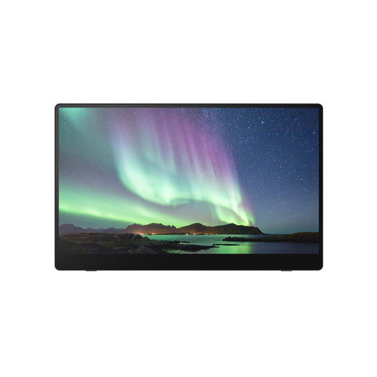 Ricoh 150 Bärbara monitor Svart 39,6 cm (15.6") LED 1920 x 1080 pixlar