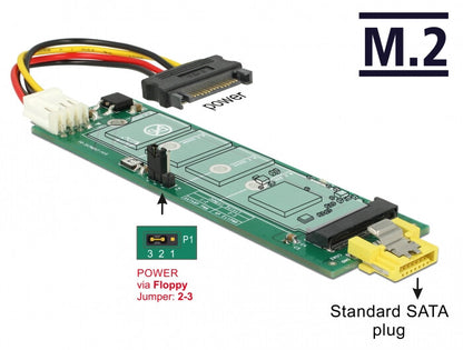 DeLOCK 63917 nätverkskort/adapters Intern M.2